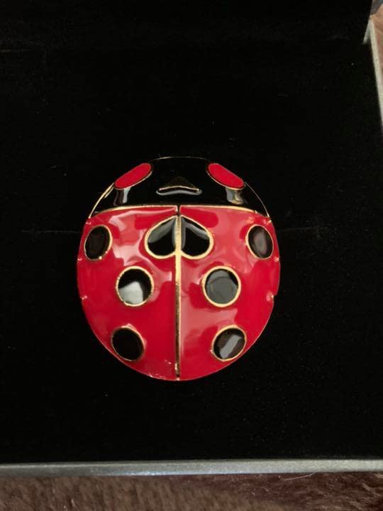 Amazon.co.jp: ジョルノ ブローチ てんとう虫 ジョジョ展 : おもちゃ