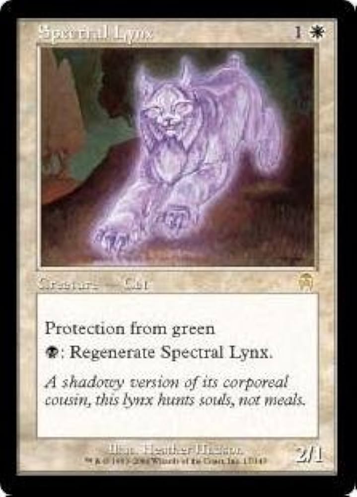 Amazon.co.jp: マジックザギャザリング MTG 白 英語版 幽体オオヤマ