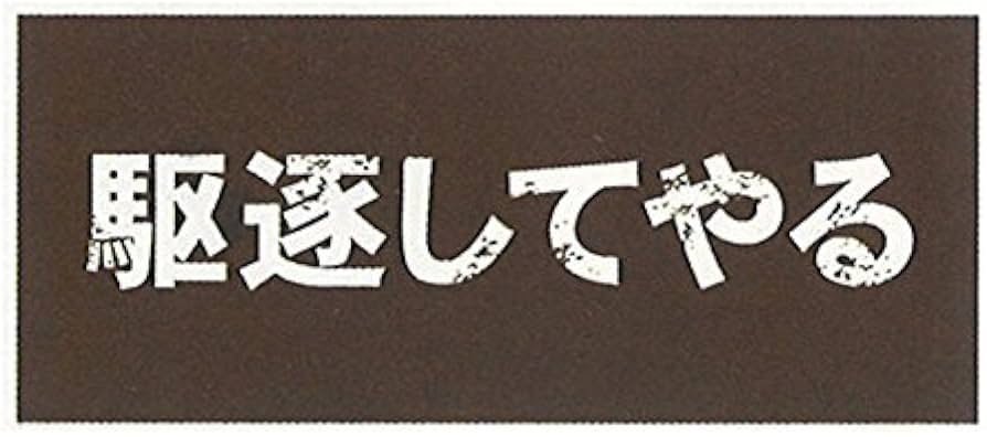 Amazon.co.jp: メッセージ フェイス タオル （340×800mm