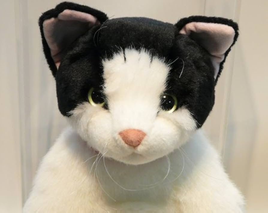 Amazon.co.jp: はっちゃん日記 はっちゃん ぬいぐるみ 座高42cm : おもちゃ