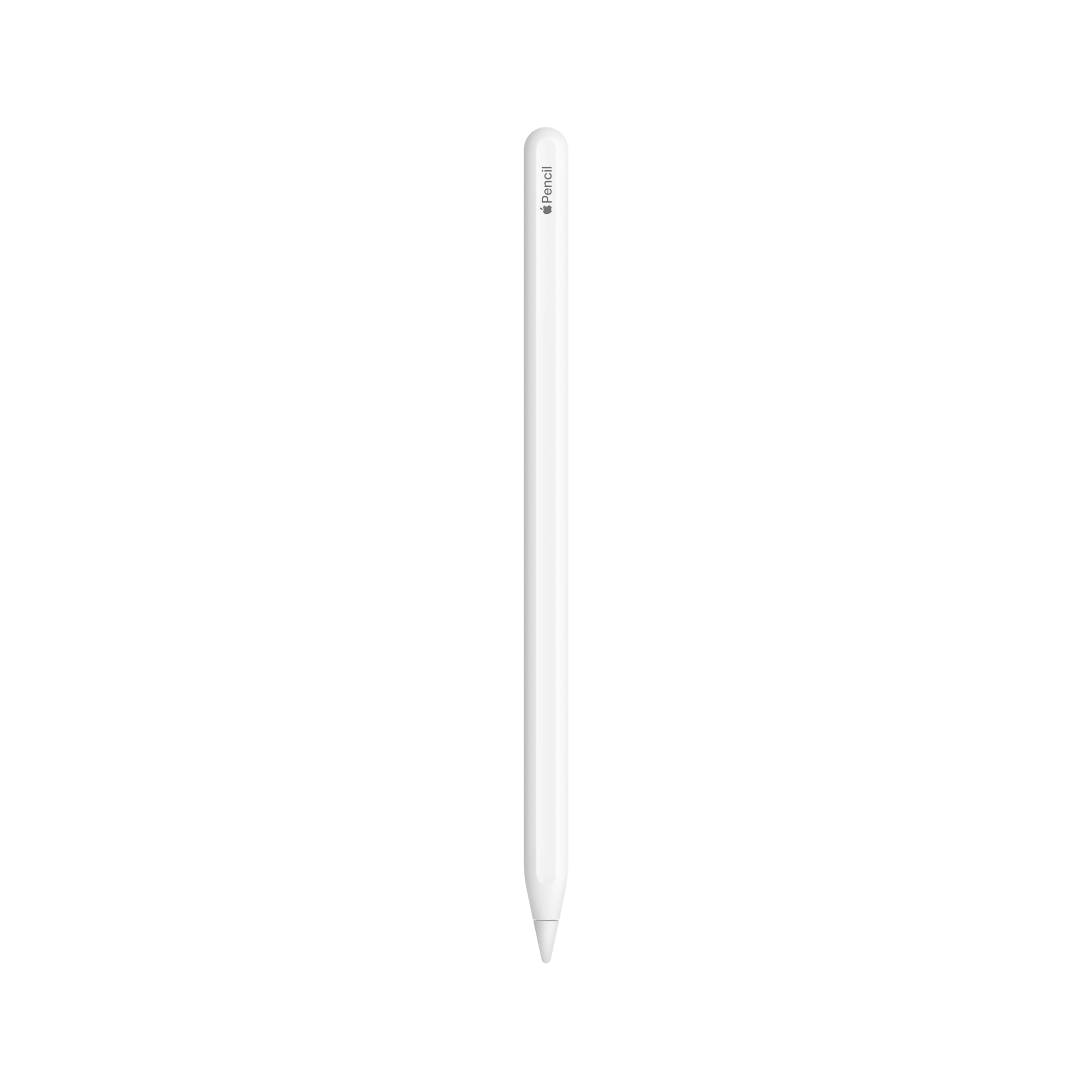 Amazon.co.jp: 【整備済み品】Apple Pencil(第2世代) : 家電＆カメラ
