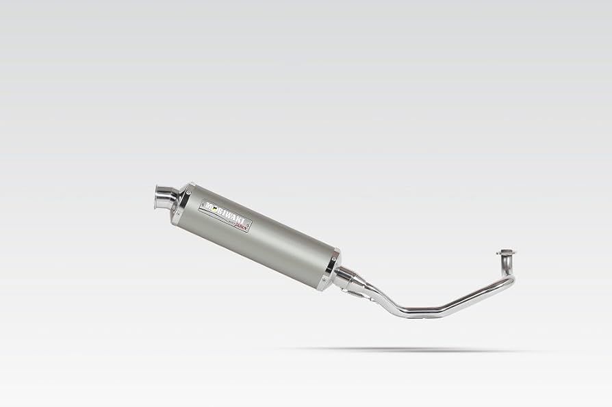 Amazon | モリワキ (MORIWAKI) フルエキゾーストマフラー リード125