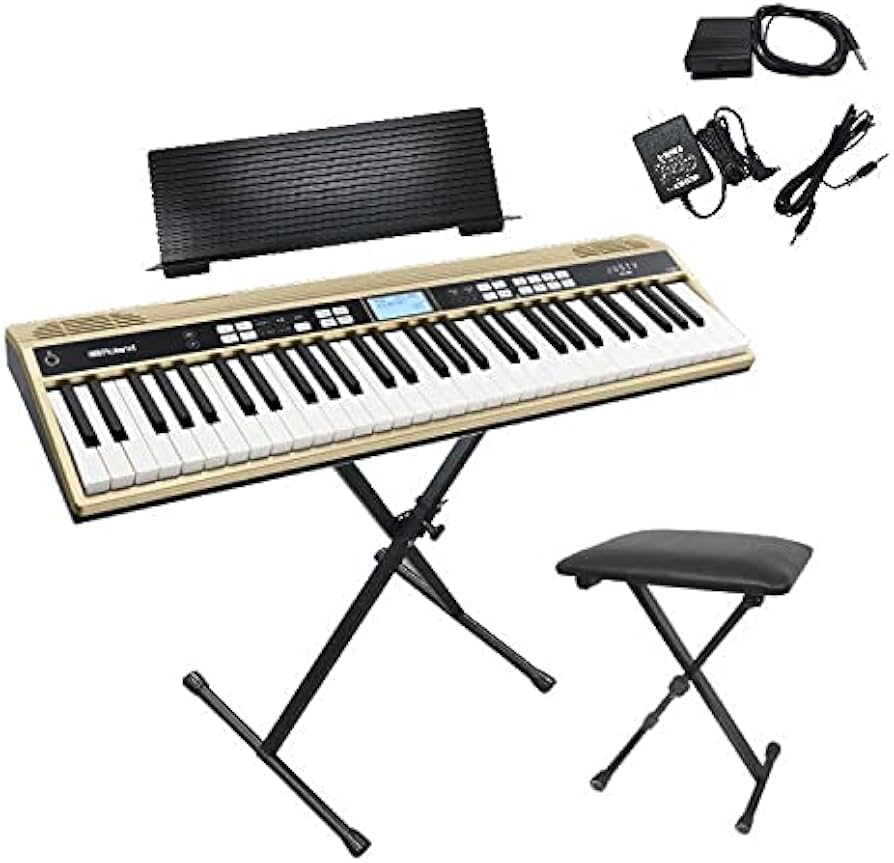 Amazon | ローランド キーボード JUSTY HK-100/Roland 【X型スタンド