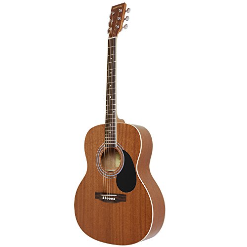 Amazon | HONEY BEE ハニービー アコースティックギター フォーク