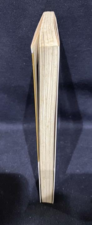 Amazon.co.jp: コトバインターフェース タモリ 松岡正剛 大和文庫