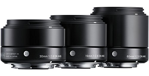 Amazon.com : Sigma 19mm F2.8 EX DN Art (Black) for Micro 4/3