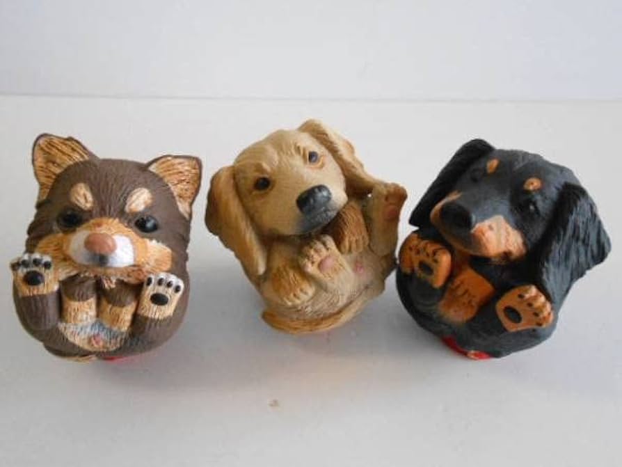 Amazon.co.jp: ♯Jqi22HZまんまるどうぶつまんまるいぬやんちゃ編