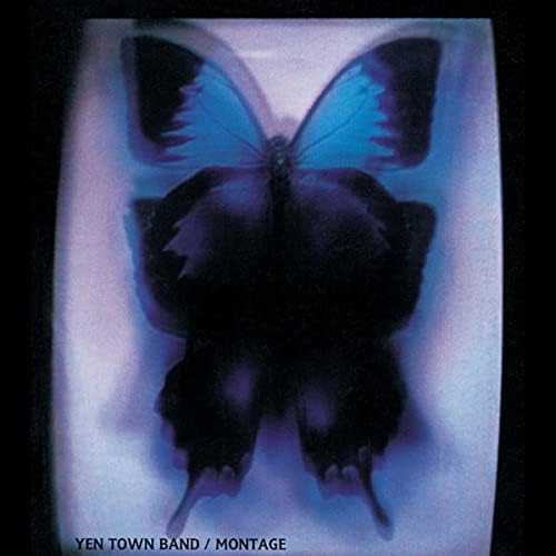 YEN TOWN BANDのMONTAGE (Remastered 2015)からの楽曲Swallowtail
