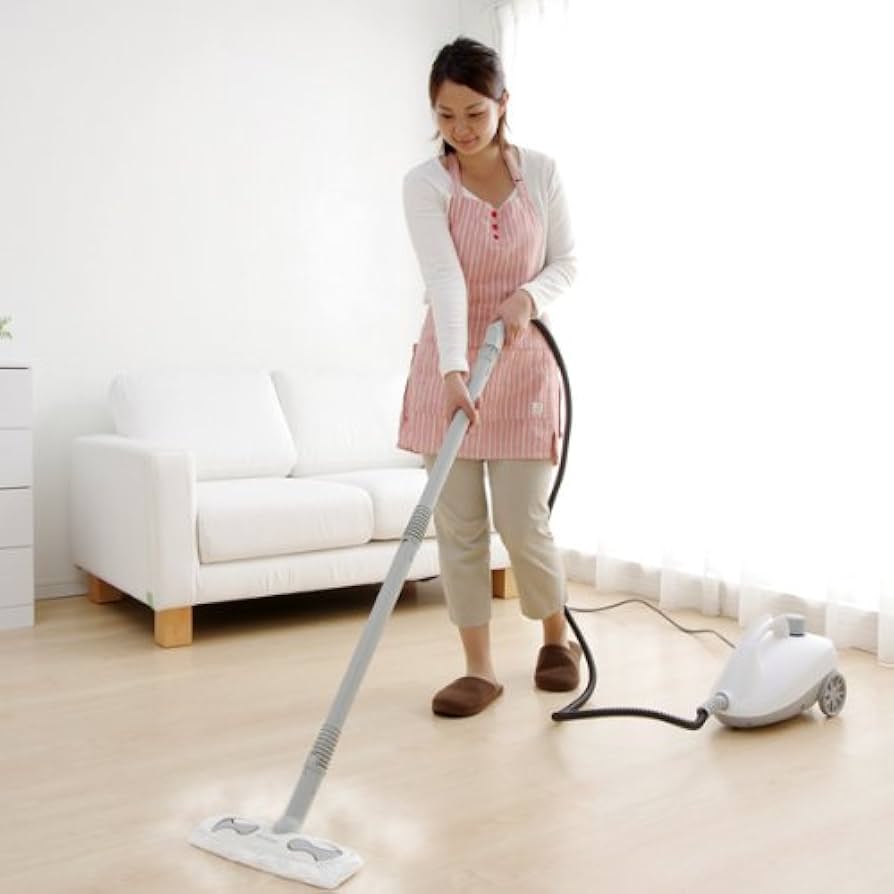 Amazon.co.jp: アイリスオーヤマ スチームクリーナー ホワイト STM-410