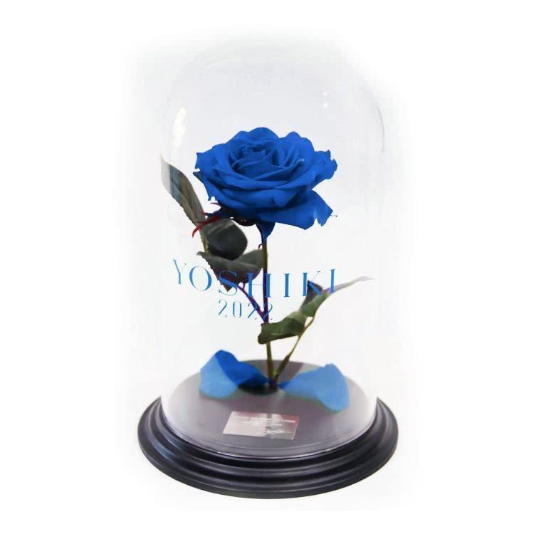 Amazon.co.jp: YOSHIKI CLASSICAL ブリザーブドフラワーBlue YOSHIKI