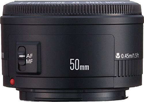 キャノンEF 50mm F1.8 ⅡとSTM ボケ味ある単焦点レンズ比較レビュー