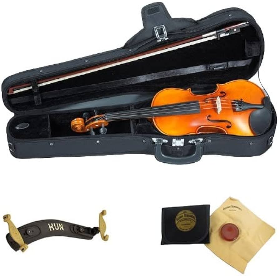 Amazon | EASTMAN SVL80ｾｯﾄ 4/4 バイオリンセット (イーストマン