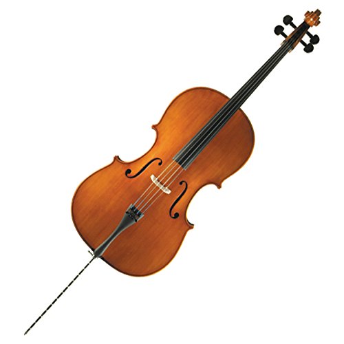 Amazon | SUZUKI No.72 4/4 チェロ (スズキ) | チェロ | 楽器・音響機器