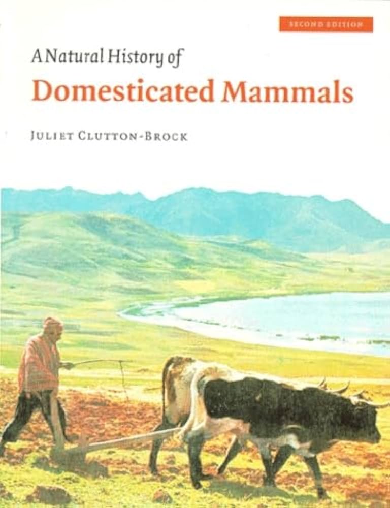 Amazon.com: A Natural History of Domesticated Mammals