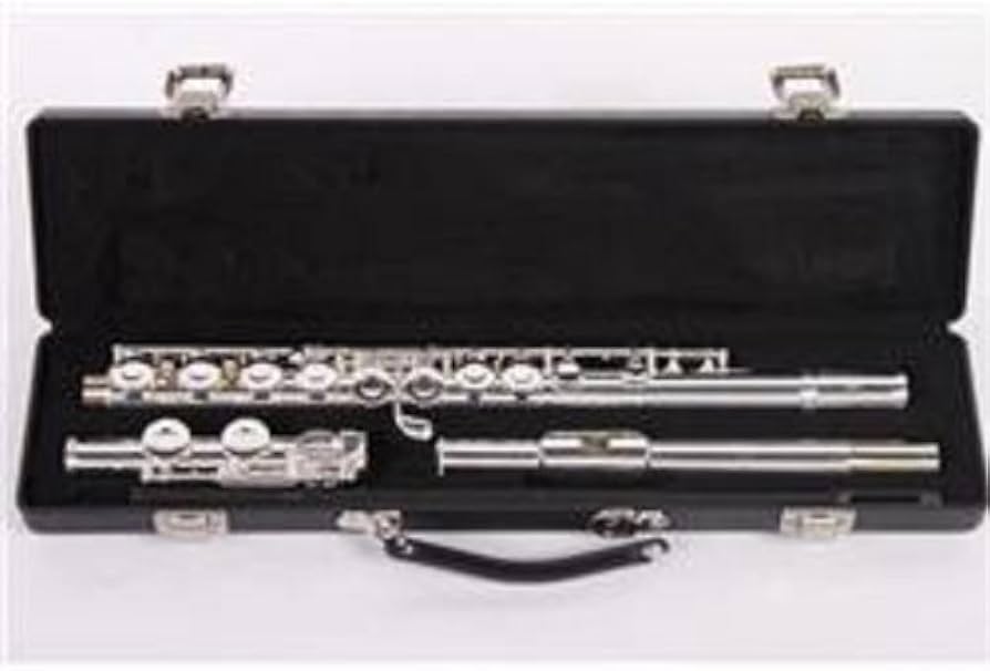 Amazon | 2SP Silver Plated Flute Outfit フルート Gemeinhardt社