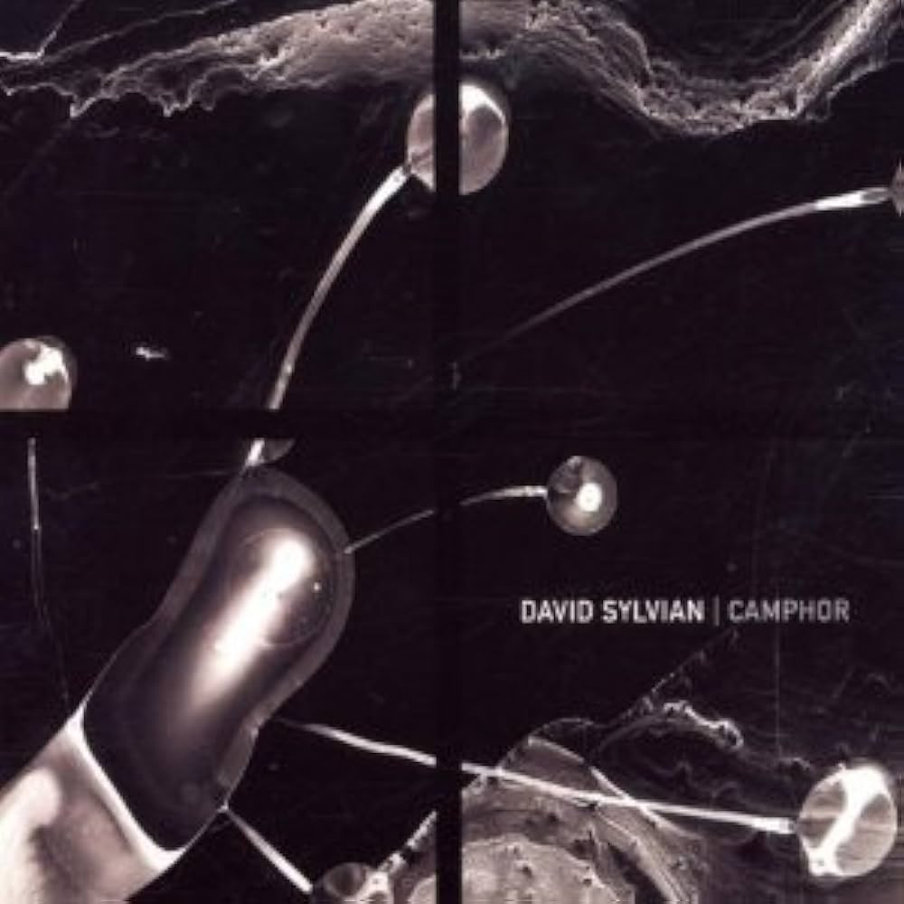 Sylvian, David - Camphor - Amazon.com Music