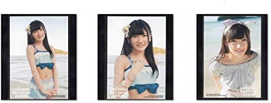 Amazon.co.jp: AKB48 岡田奈々 ラブラドールレトリバー 通常盤 購入