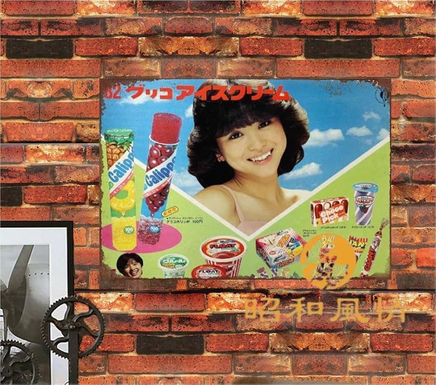 Amazon.co.jp: 【昭和の風情】昭和レトロ 松田聖子 ブリキ看板