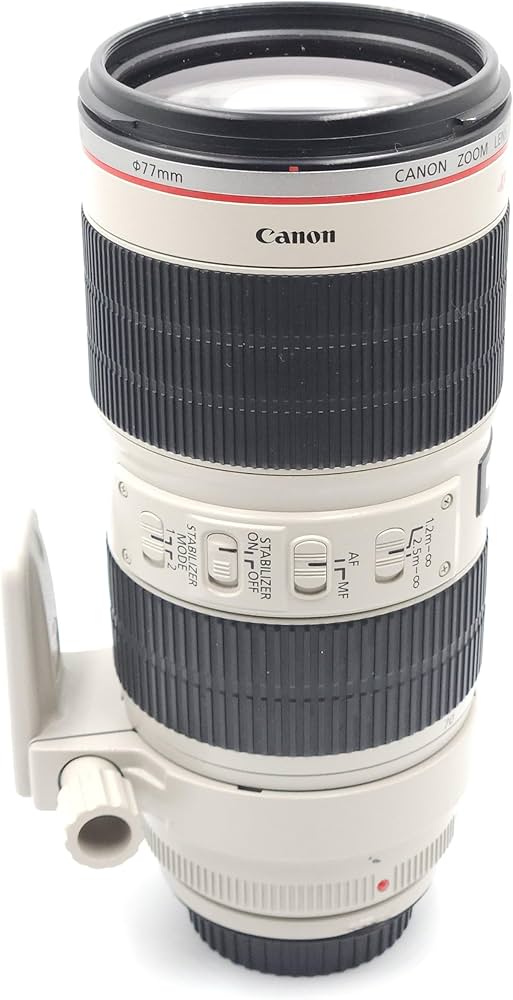 Amazon.com : Canon EF 70-200mm f/2.8L IS II Telephoto Zoom Lens
