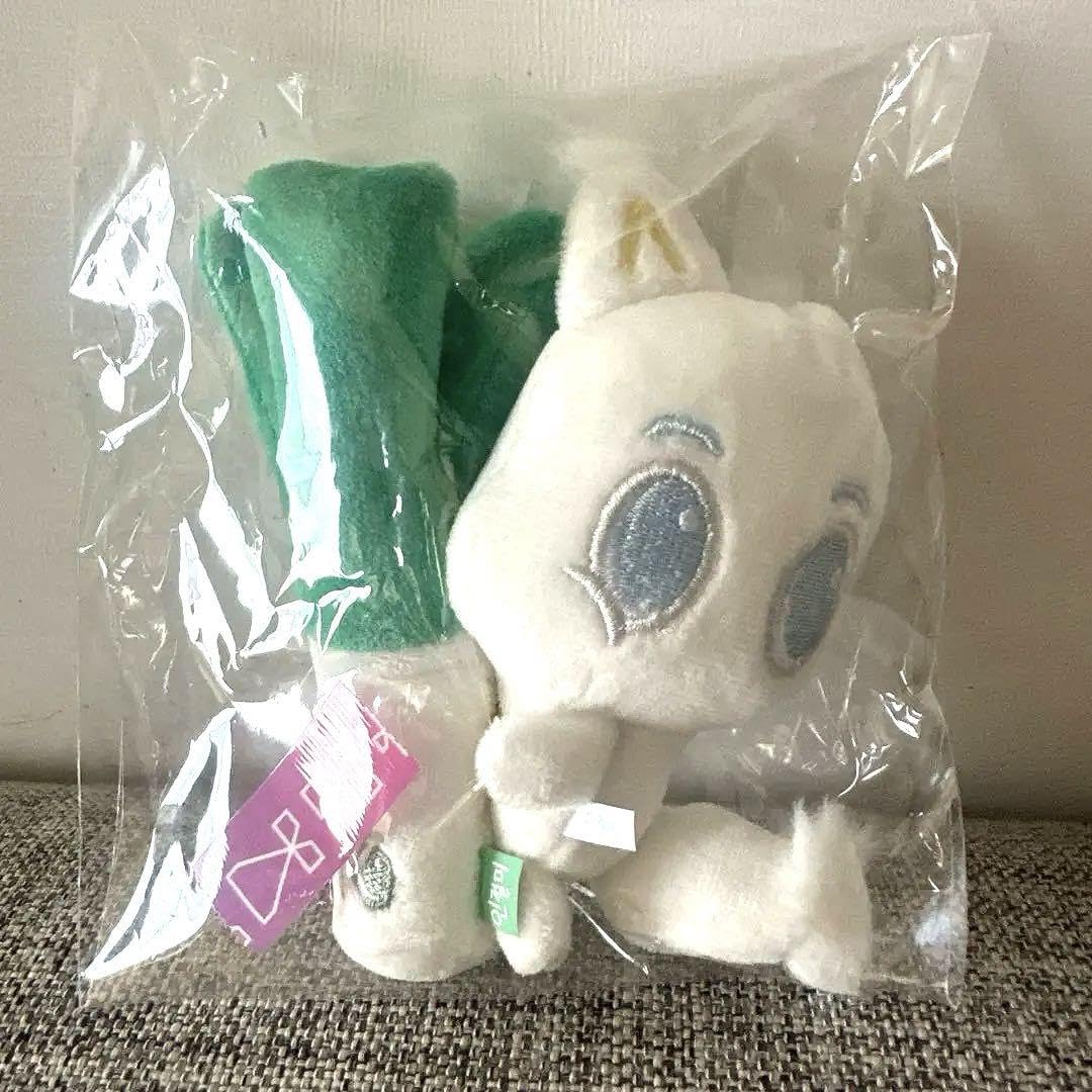 Amazon.co.jp: NCT DREAM ロンジュン ぬいぐるみ インジョルミ : おもちゃ