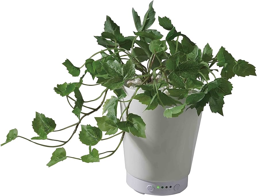 Amazon｜LITHON ライソン グリーンアロマミスト メープルアイビー