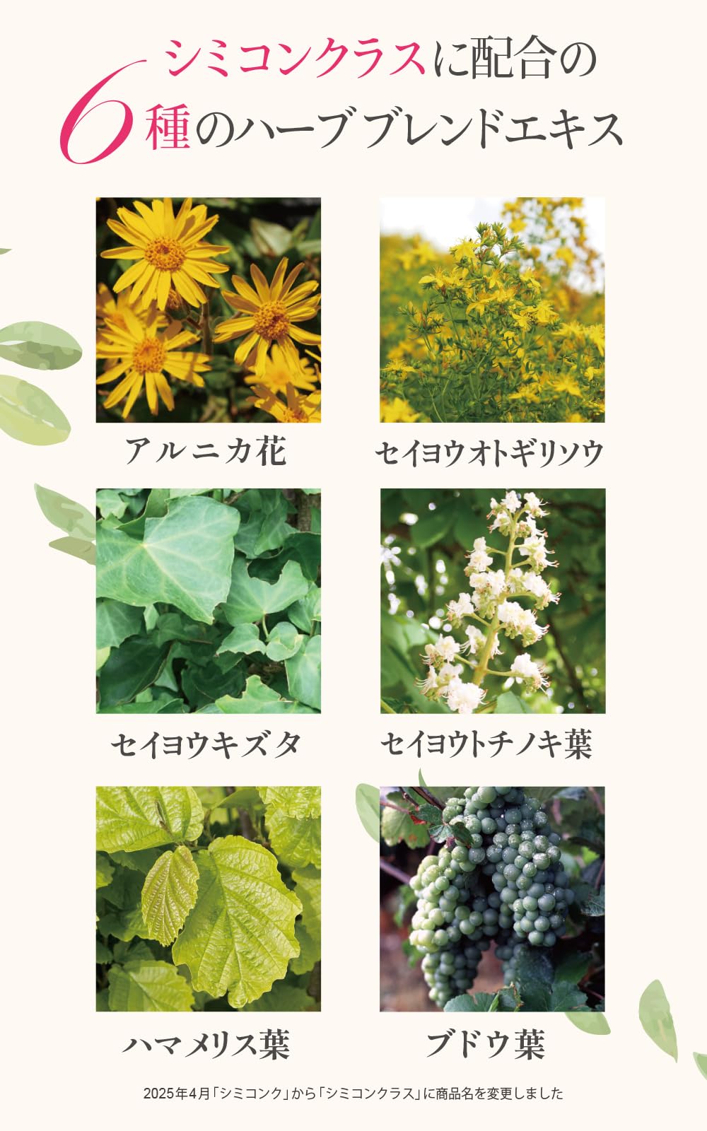 Amazon.co.jp: 【ノーブル・ラボ 公式】シミコンクラス ハーブレックス