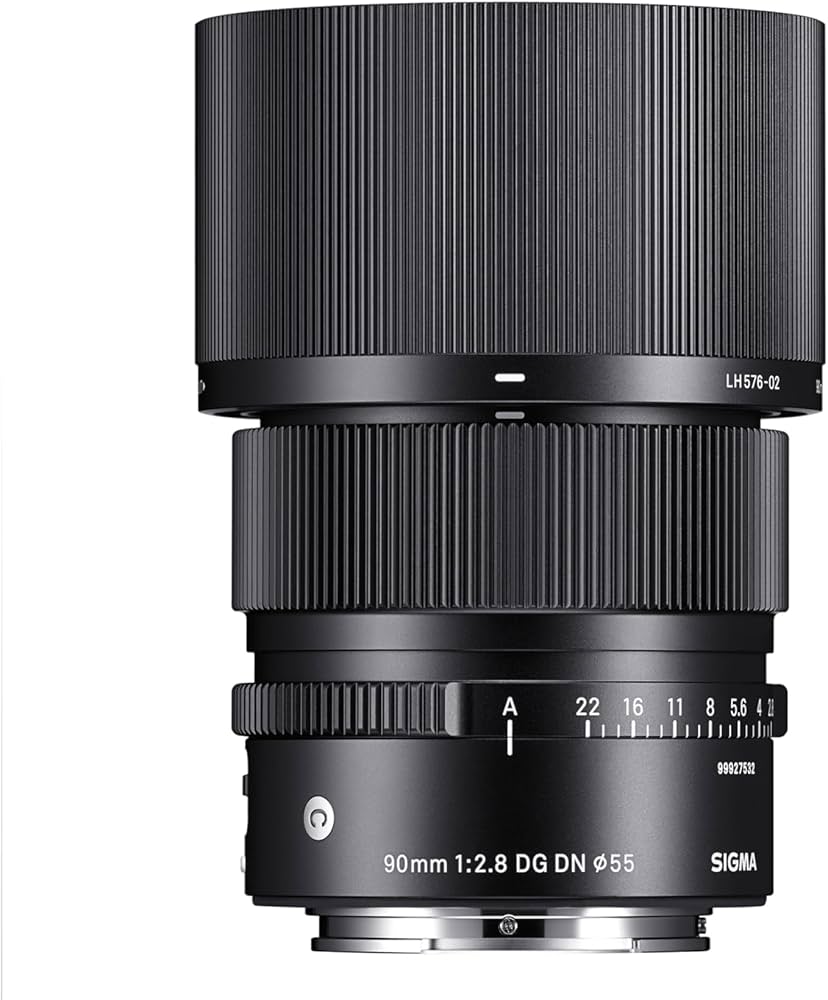 Amazon.com : Sigma 90mm F2.8 DG DN for L Mount : Electronics