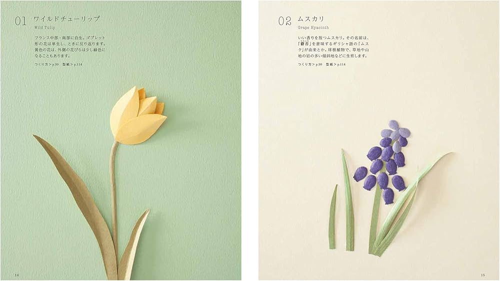 Amazon.com: 野の花の立体切り紙 西洋編: 四季折々に咲くワイルド