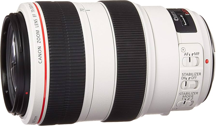 Amazon.com : Canon EF 70-300mm f/4-5.6L is USM UD Telephoto Zoom