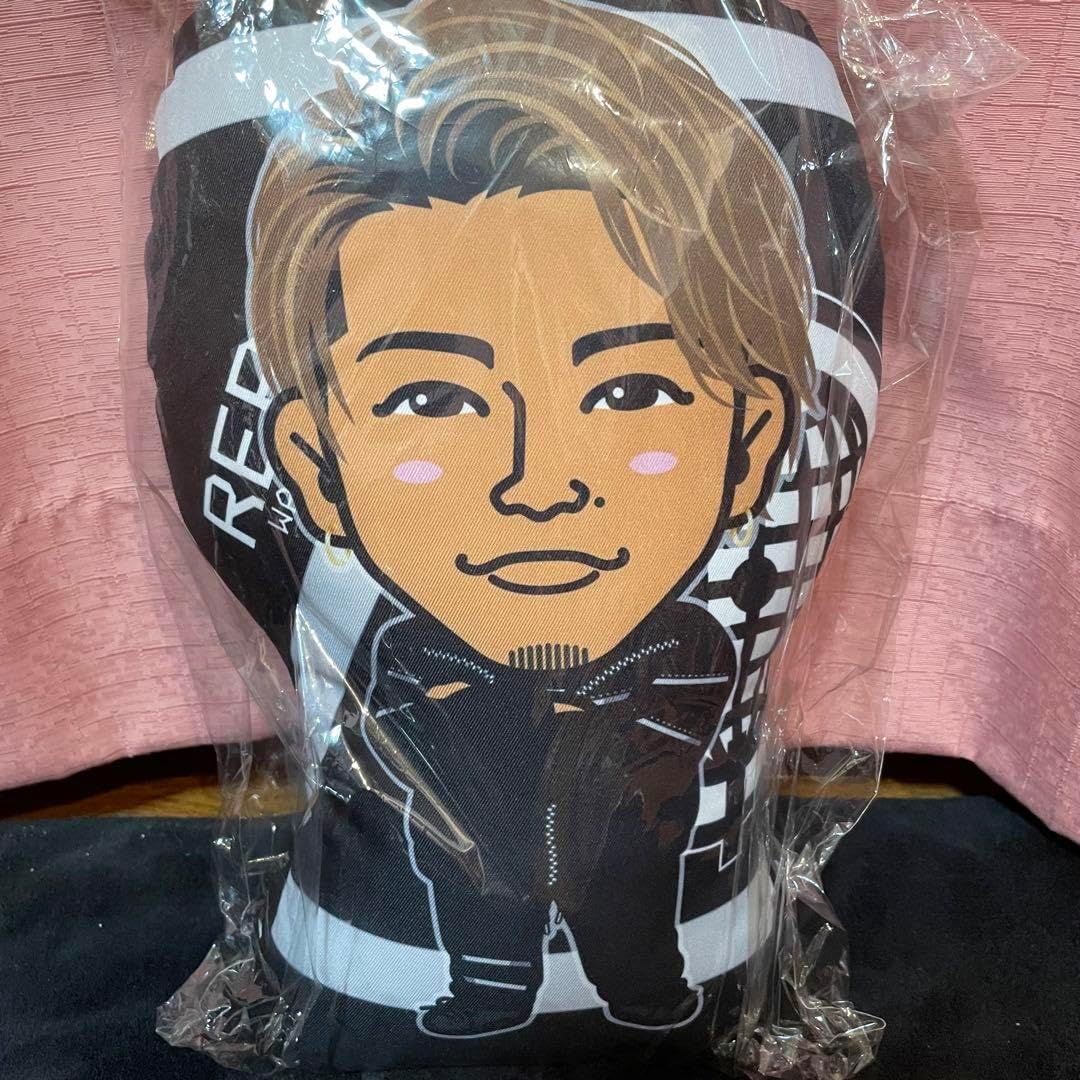 THE RAMPAGE 武知海青 クッション 武知海青 クッション 【公式通販】