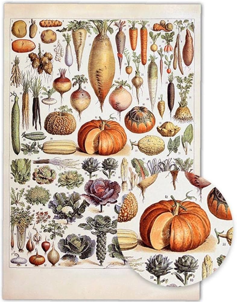 Amazon.co.jp: ヴィンテージ果物野菜ポスタープリント植物識別参照