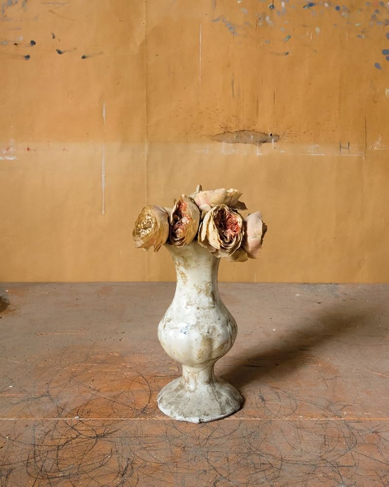 Joel Meyerowitz: Morandi's Objects: Meyerowitz, Joel, Meyerowitz