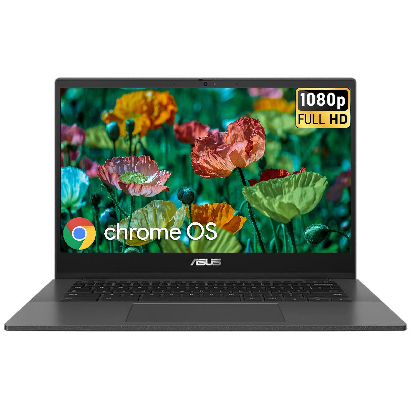 Amazon.com: ASUS Chromebook CM14 CM1402C 14