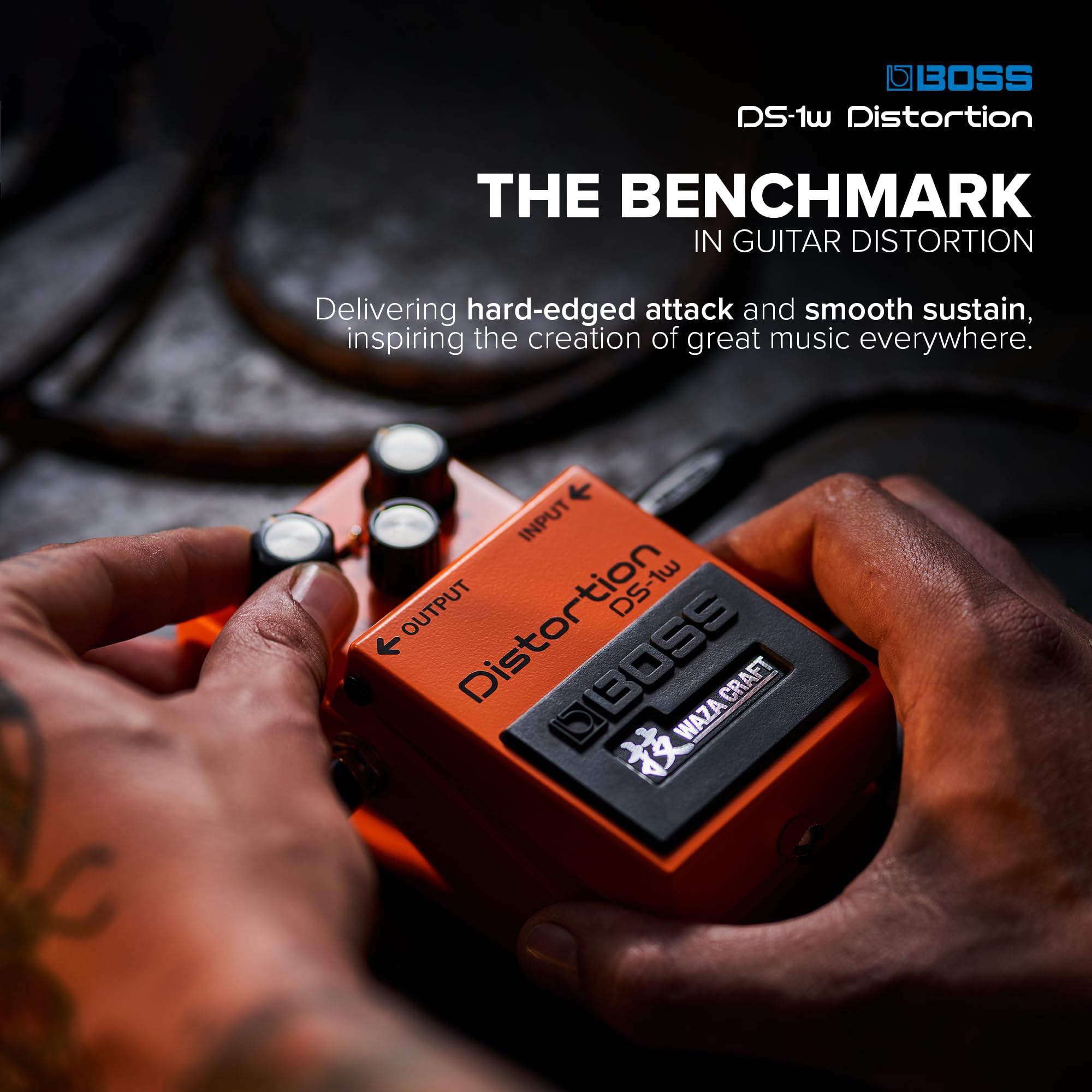 Amazon.com: BOSS DS-1W Special Edition Waza Craft Distortion Pedal