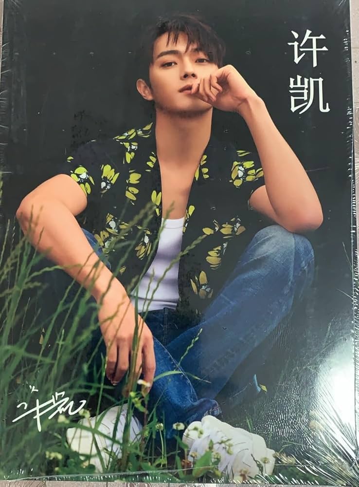 Amazon.co.jp: 許凱 シューカイ 写真集 [並行輸入品] : おもちゃ