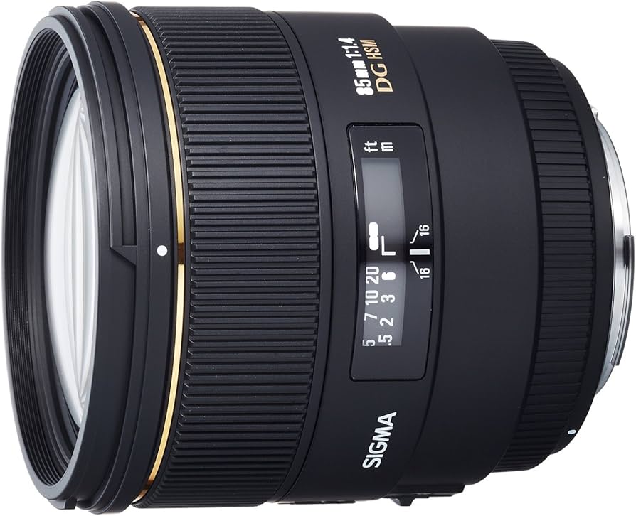 Amazon.com : Sigma 85mm f/1.4 EX DG HSM Large Aperture Medium