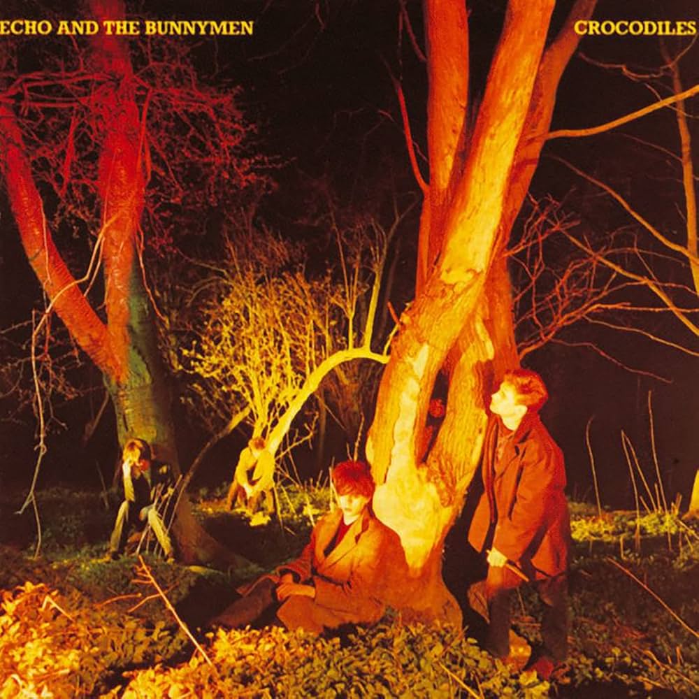 Echo And The Bunnymen - Crocodiles: Amazon.com.br: CD e Vinil