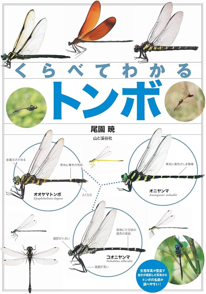 くらべてわかる トンボ (くらべてわかる図鑑) | 尾園 暁 |本 | 通販