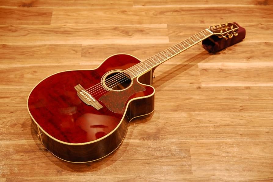 Amazon | 【コンタクトPU増設済】Takamine タカミネ DMP551C WR ワイン