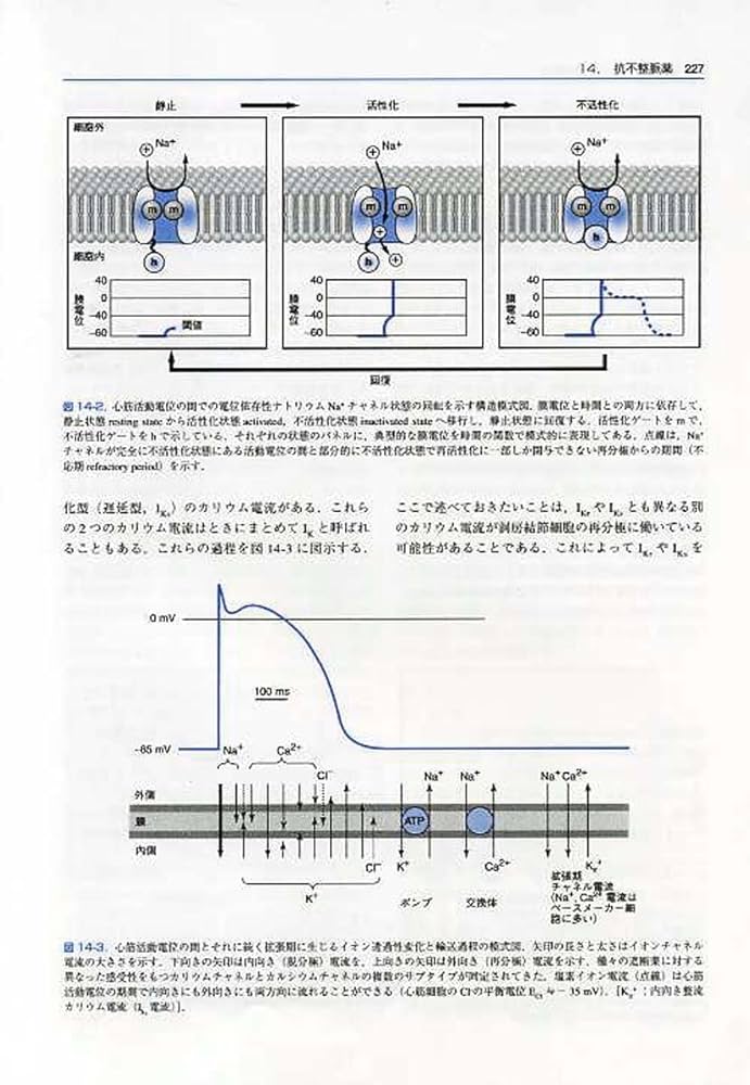 カッツング薬理学 | Bertram G.Katzung, 柳澤 輝行, 飯野 正光, 丸山