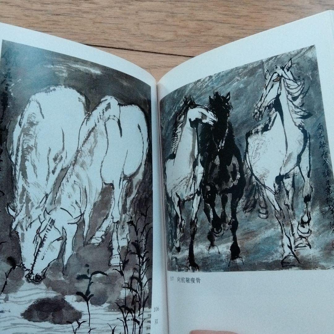 Amazon.co.jp: 中国現代水墨画壇巨匠 最も人気水墨画画家張廣画集中国