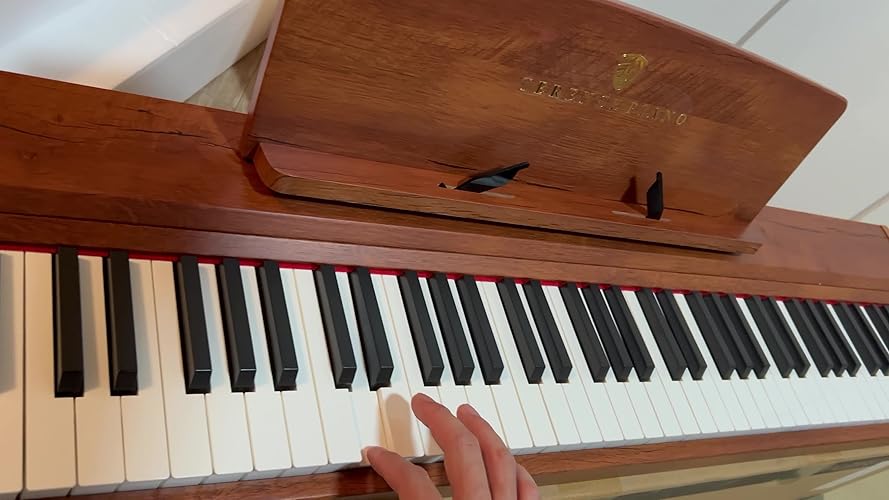 Amazon | TERENCE 電子ピアノ 88鍵 カウンターウェイト鍵盤 木製