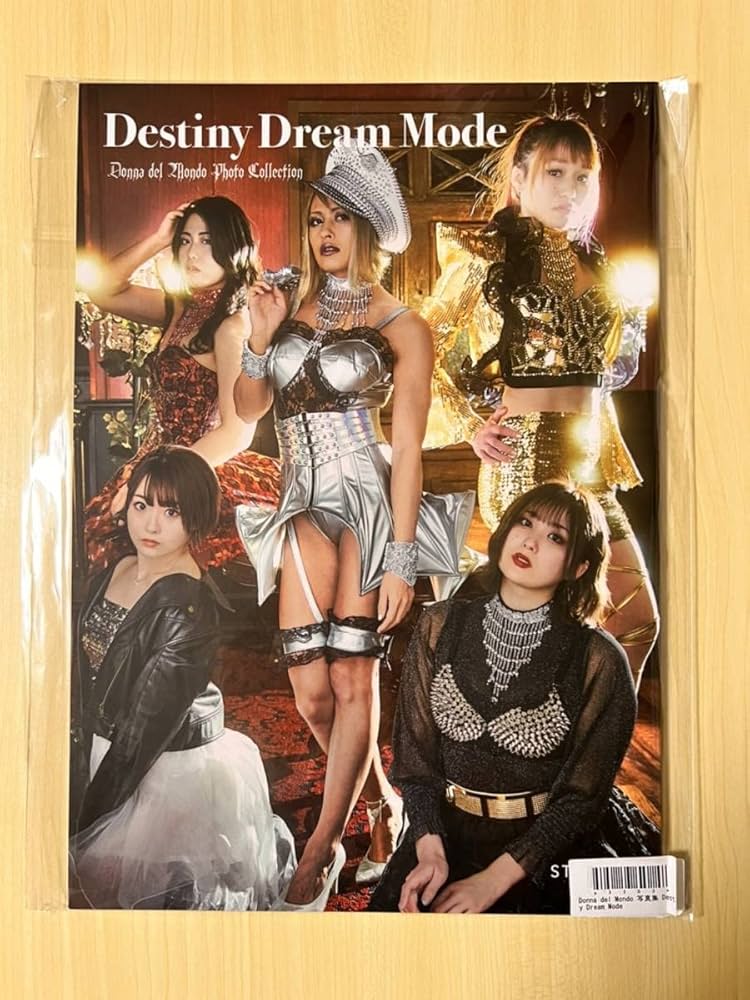 美品】STARDOM スターダム DDM ドンナデルモンド パーカー 2020 美品