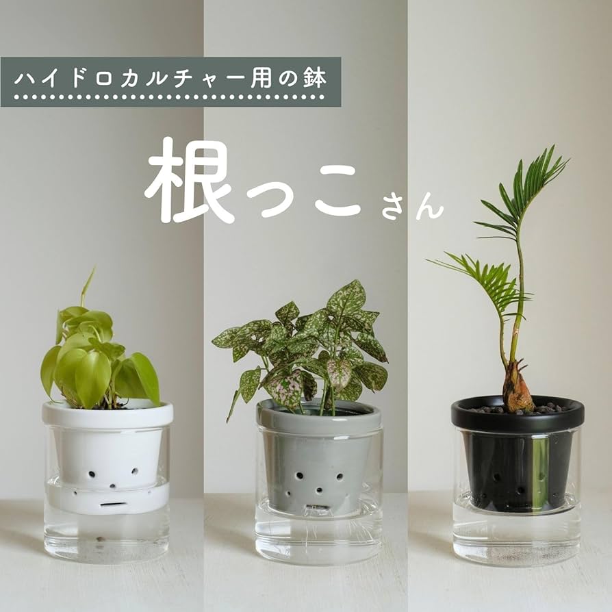 Amazon.co.jp: 根っこさん+つつ型 (ホワイト, Mサイズ) : DIY・工具