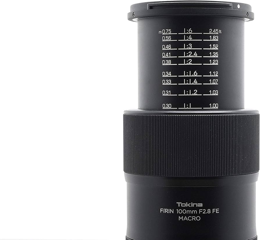 Amazon.com : Tokina Macro Lens for FiRIN 100mm F2.8 FE Macro Sony