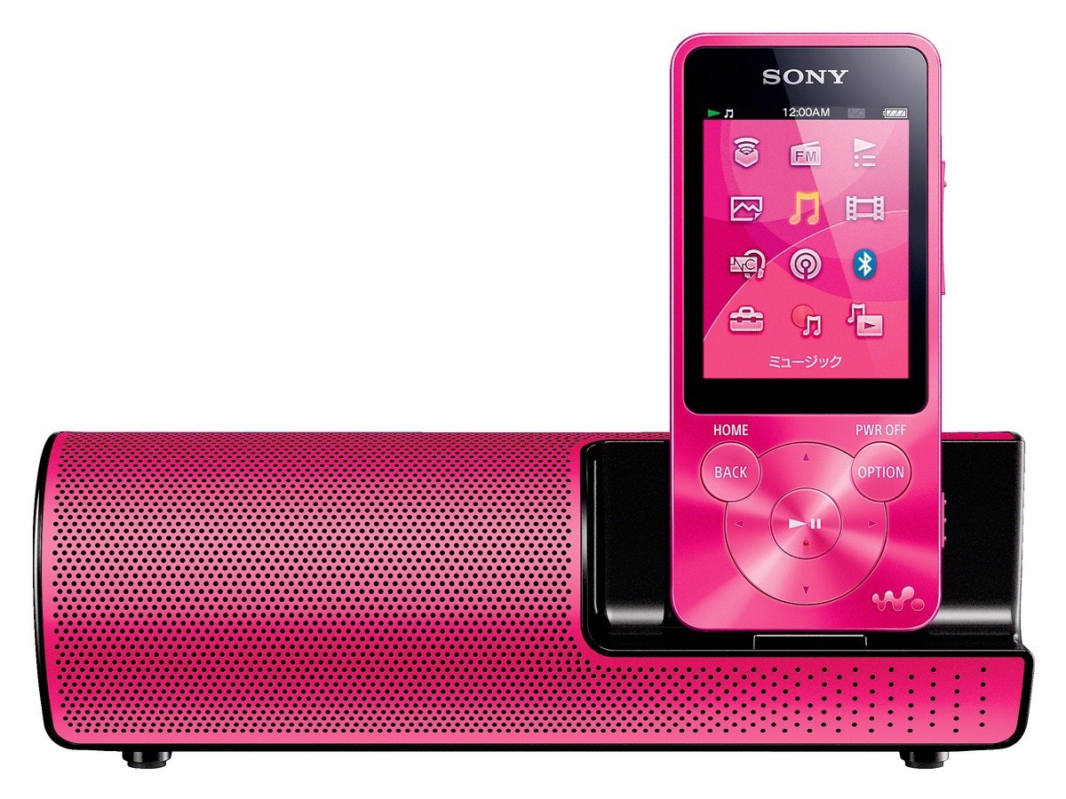 Amazon.co.jp: ソニー SONY ウォークマン Sシリーズ NW-S14K : 8GB