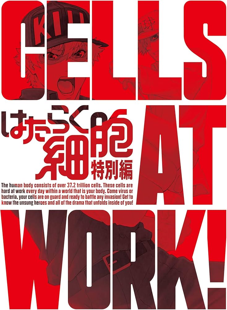 Amazon.co.jp: はたらく細胞 特別編(完全生産限定版) [DVD] : 花澤香菜