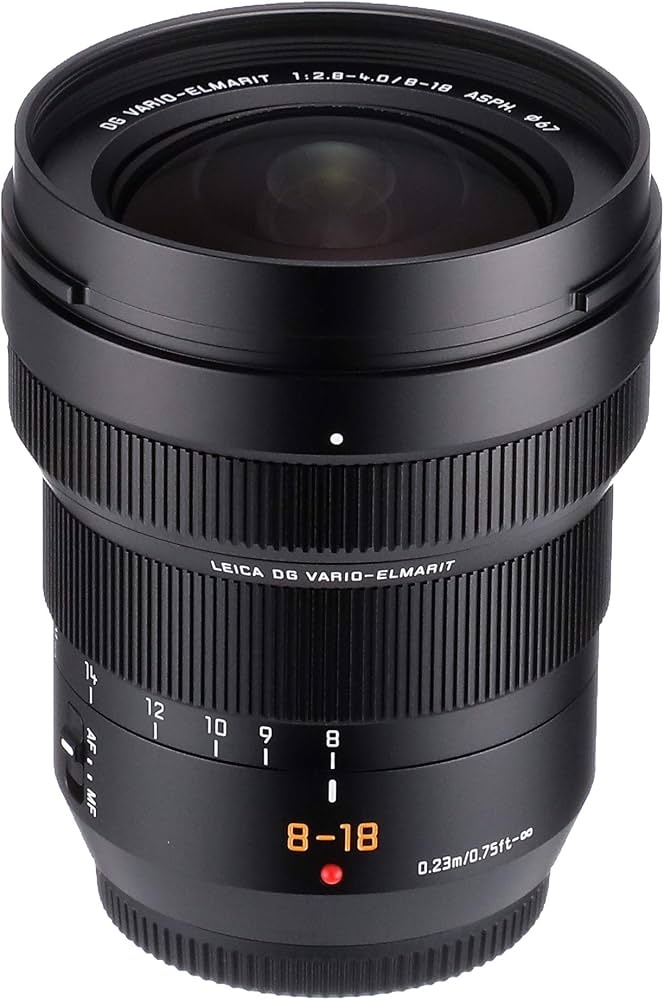 Amazon | パナソニック(Panasonic) 超広角ズームレンズ マイクロフォー