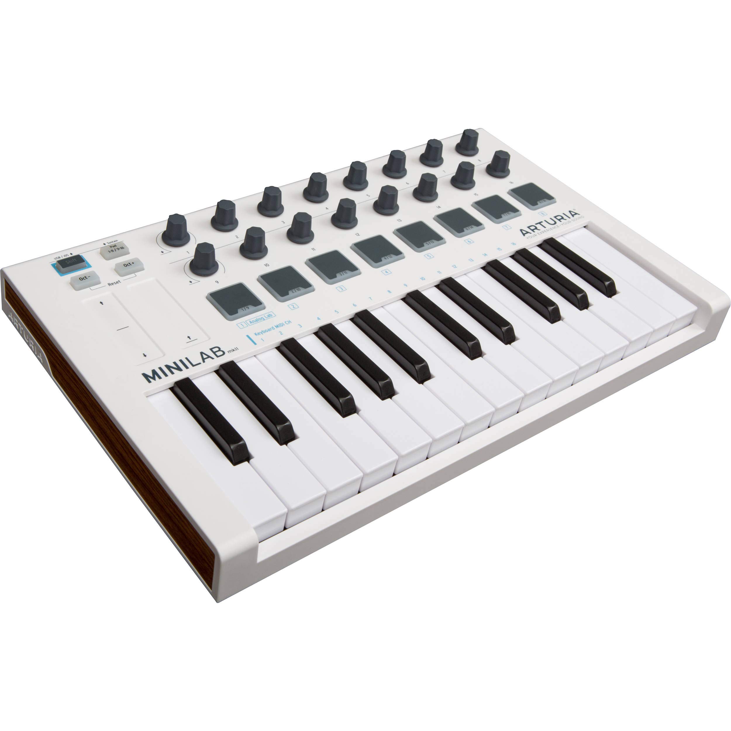 Amazon.com: Arturia - MiniLab MkII - Portable MIDI Controller for