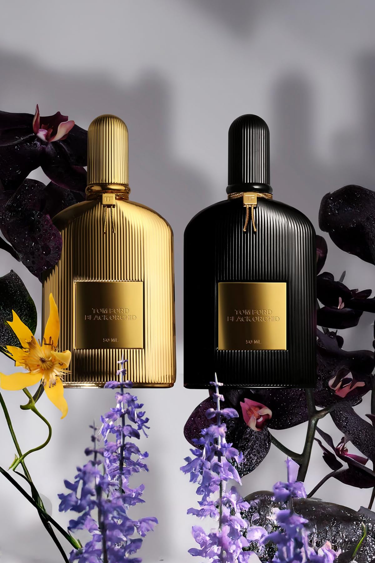 Amazon.com : Tom Ford Black Orchid Eau de Parfum Spray for Women